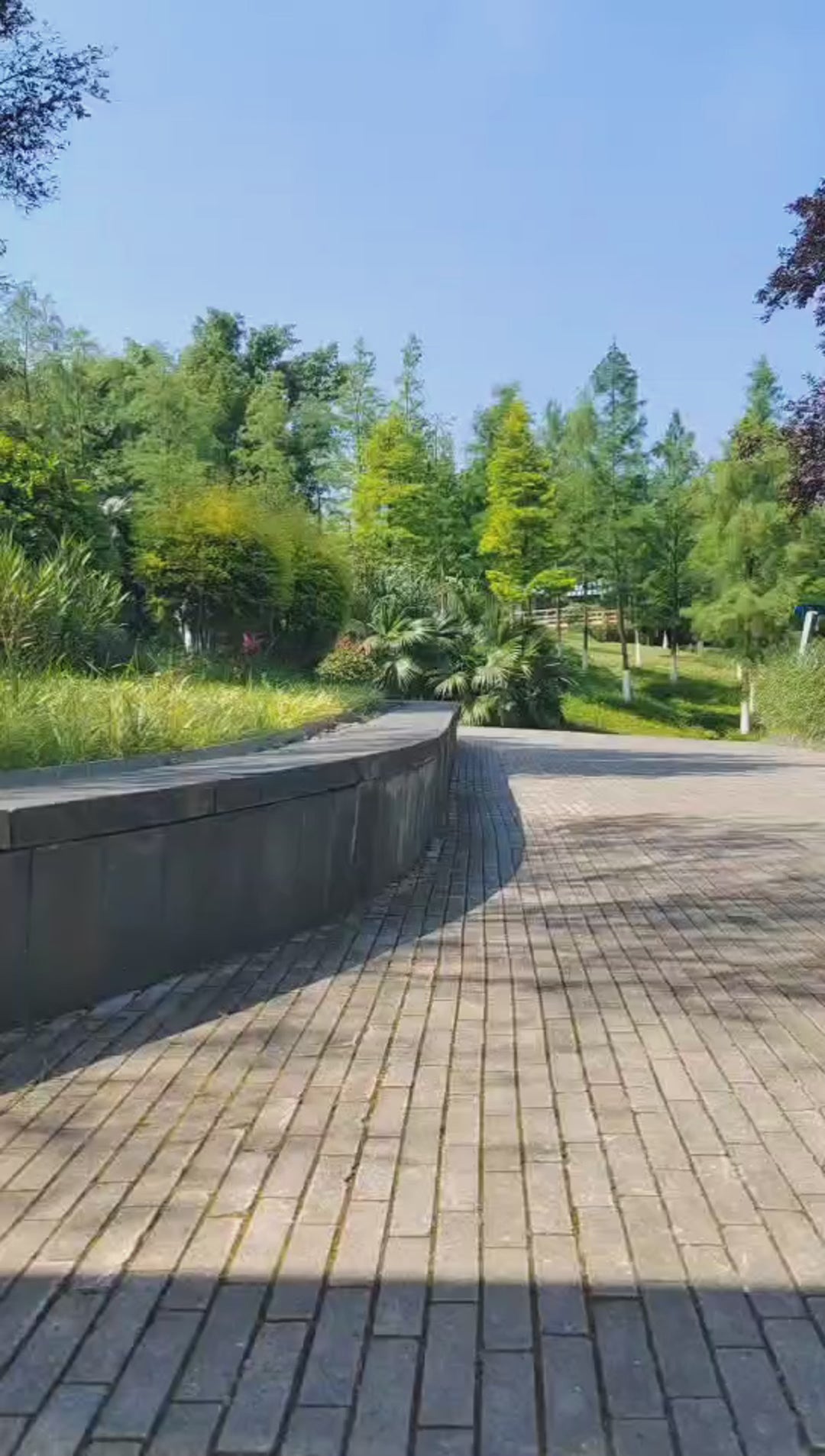 Kukirin G3 Electric scooter